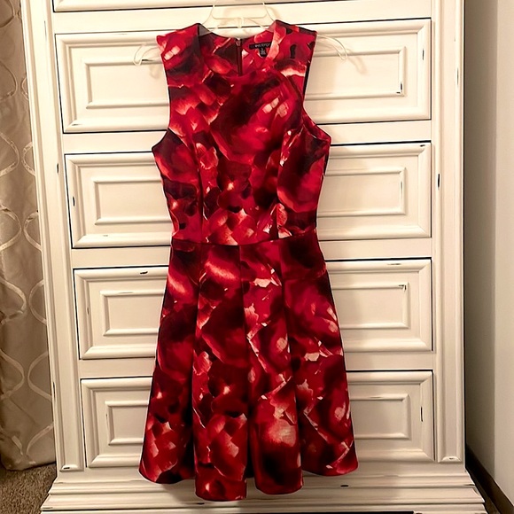 The Limited Dresses & Skirts - The Limited Red Dress. Worn Once. Great Quality!!!